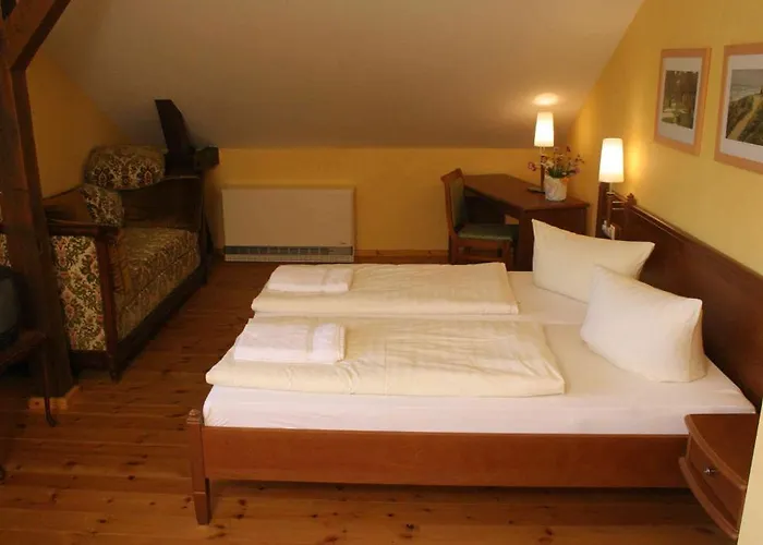 Elbterrassen Im Woerlitzer Winkel