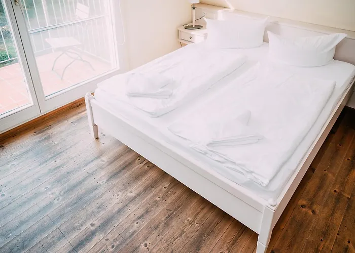 Elbterrassen Im Woerlitzer Winkel Pensionat 3*